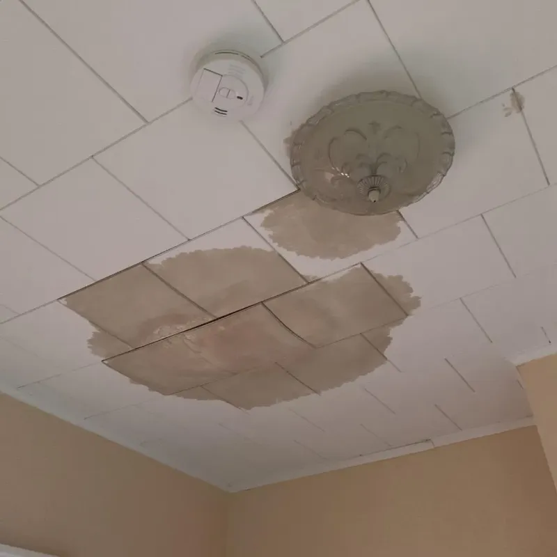 Ceiling Water Damage Repair in Union City, TN