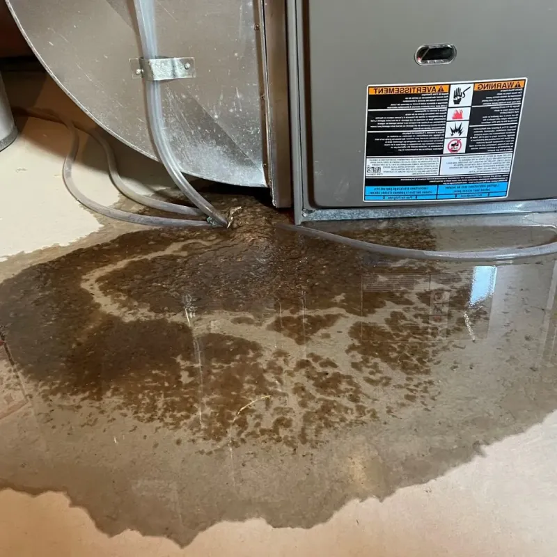 Pipe Burst and Leak Restoration in Union City, TN