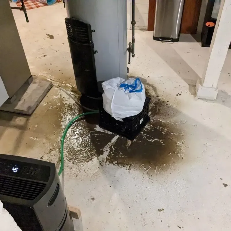 Sewage Backup Cleanup Service in Union City, TN